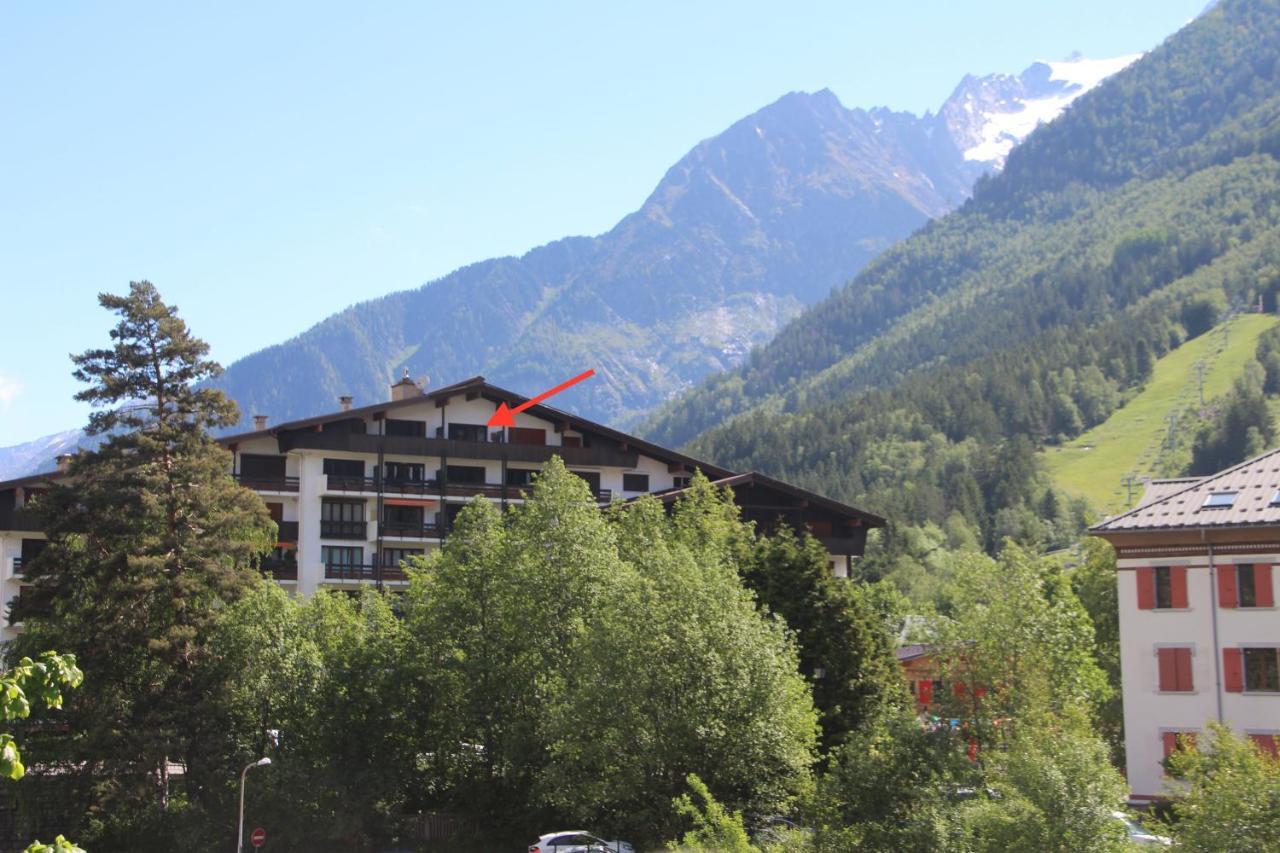 Studio Chamonix Mont-Blanc Idealement Situe 外观 照片